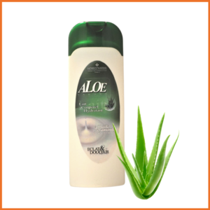 Lait corporel Aloé