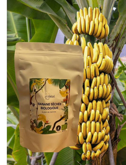 ermada- banane séchée