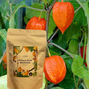 Fruit séché de physalis BIO