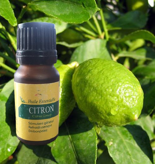 ermada - huile essentielle de citron de Madagascar