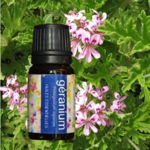 Huile essentielle géranium de Madagascar – 10 ml