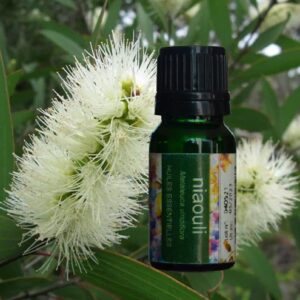 Huile essentielle de Niaouli de Madagascar – 10ml