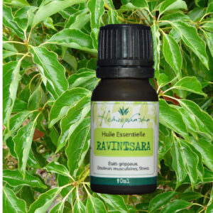 Huile essentielle Ravintsara de Madagascar – 10ml