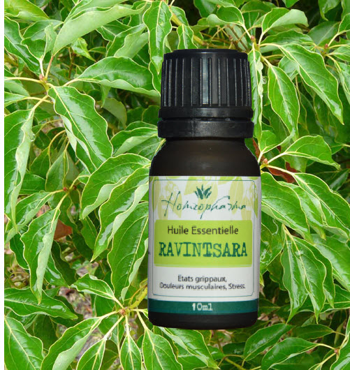 ermada - huile essentielle de ravintsara de Madagascar