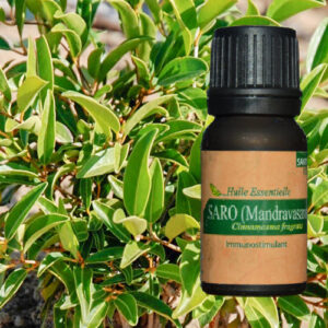 Huile essentielle Saro de Madagascar – 10ml