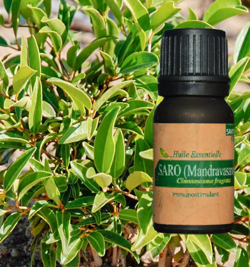 ermada - huile essentielle de saro de Madagascar