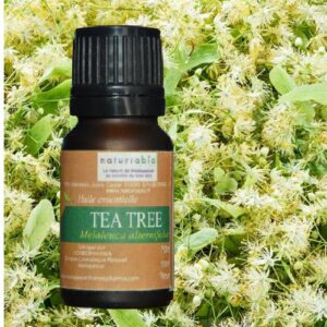 Huile essentielle Tea tree de Madagascar – 10ml