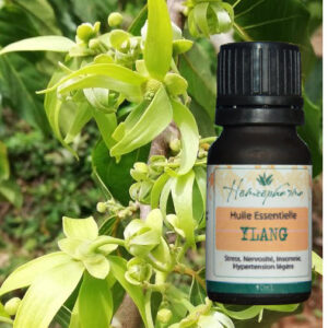 Huile essentielle Ylang de Madagascar – 10ml
