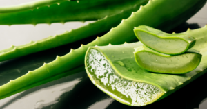 Lire la suite à propos de l’article L’ALOE DE ERMADA